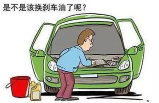 常州汽车撞人赔多少